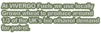 At VIVERGO Fuels we use locally Grown wheat to produce around 1/3 of the UK’s bio ethanol demand for petrol.